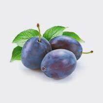 عطر آلو سیاه plum