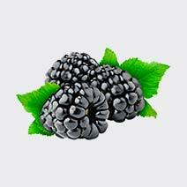 عطر تمشک berry