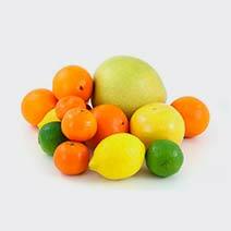 عطر مرکبات citrus fruit