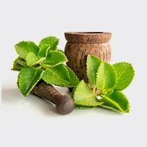 عطر نعناع فلفلی pepper mint.