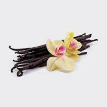 عطر وانیل vanilla