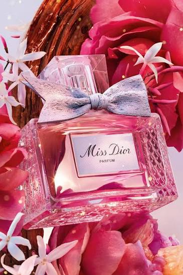 images 2026 10 03T135417.043