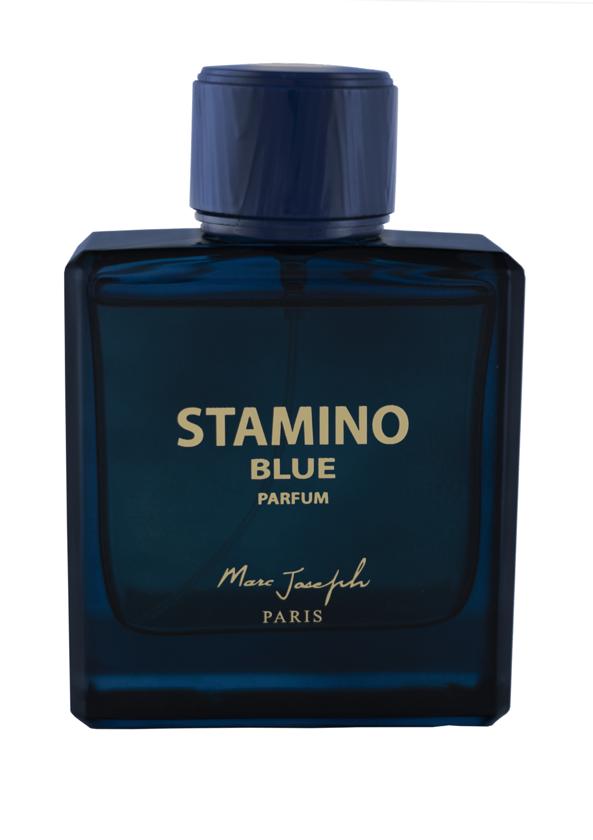 Stamino Blue Transparent